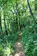 09 04480 Tratto del sentiero verso la Forcella del Sorriso